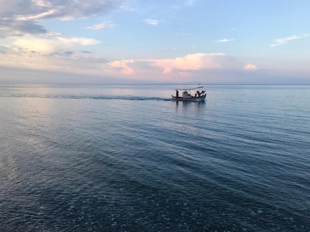 Olympus Beach Aigani Family House Ngoại thất bức ảnh